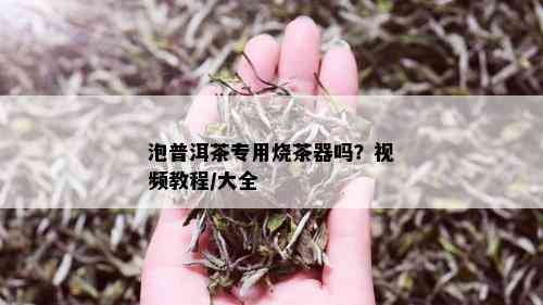 泡普洱茶专用烧茶器吗？视频教程/大全