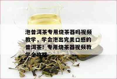 泡普洱茶专用烧茶器吗视频教学，学会泡出完美口感的普洱茶！专用烧茶器视频教学全攻略