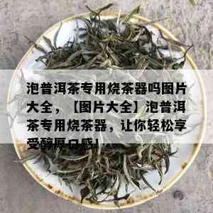 泡普洱茶专用烧茶器吗图片大全，【图片大全】泡普洱茶专用烧茶器，让你轻松享受醇厚口感！