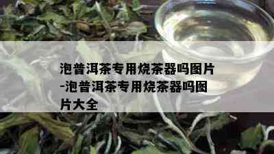 泡普洱茶专用烧茶器吗图片-泡普洱茶专用烧茶器吗图片大全