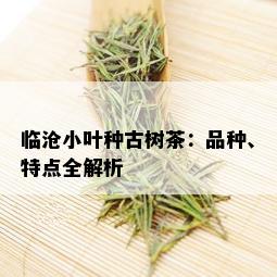 临沧小叶种古树茶：品种、特点全解析