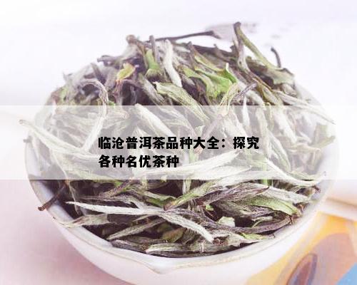 临沧普洱茶品种大全：探究各种名优茶种