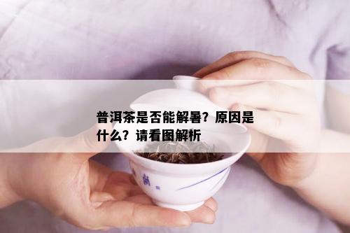 普洱茶是否能解暑？原因是什么？请看图解析