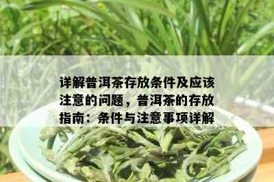 详解普洱茶存放条件及应该注意的问题，普洱茶的存放指南：条件与注意事项详解