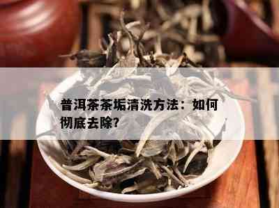 普洱茶茶垢清洗方法：如何彻底去除？