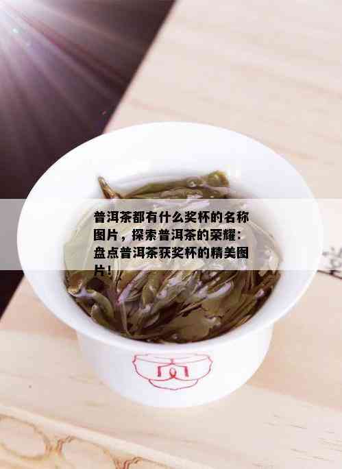 普洱茶都有什么奖杯的名称图片，探索普洱茶的荣耀：盘点普洱茶获奖杯的精美图片！