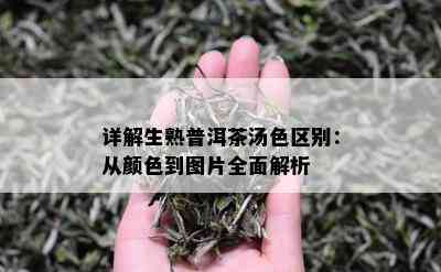 详解生熟普洱茶汤色区别：从颜色到图片全面解析