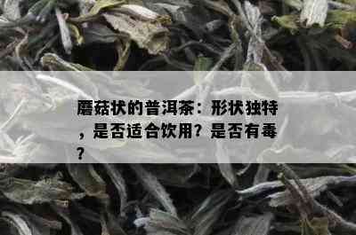 蘑菇状的普洱茶：形状独特，是否适合饮用？是否有？