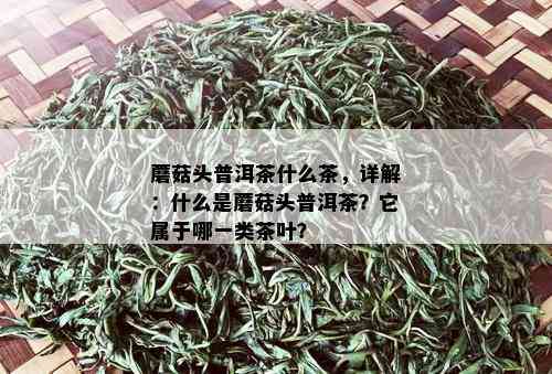 蘑菇头普洱茶什么茶，详解：什么是蘑菇头普洱茶？它属于哪一类茶叶？