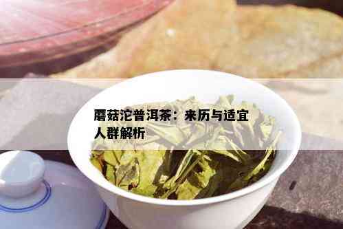 蘑菇沱普洱茶：来历与适宜人群解析