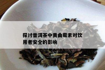 探讨普洱茶中黄曲霉素对饮用者安全的影响