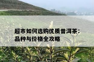 超市如何选购优质普洱茶：品种与价格全攻略