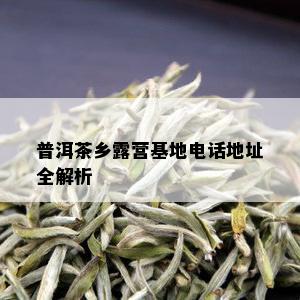 普洱茶乡露营基地电话地址全解析