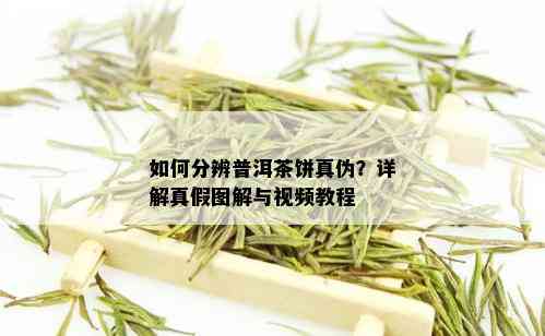 如何分辨普洱茶饼真伪？详解真假图解与视频教程