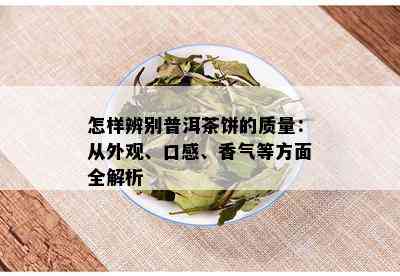 怎样辨别普洱茶饼的质量：从外观、口感、香气等方面全解析