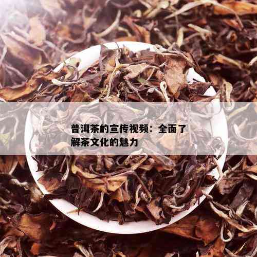 普洱茶的宣传视频：全面了解茶文化的魅力