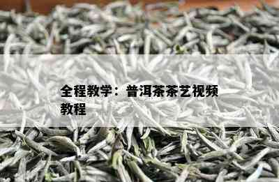 全程教学：普洱茶茶艺视频教程