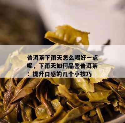 普洱茶下雨天怎么喝好一点呢，下雨天如何品鉴普洱茶：提升口感的几个小技巧