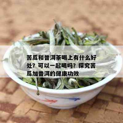 苦瓜和普洱茶喝上有什么好处？可以一起喝吗？探究苦瓜加普洱的健康功效