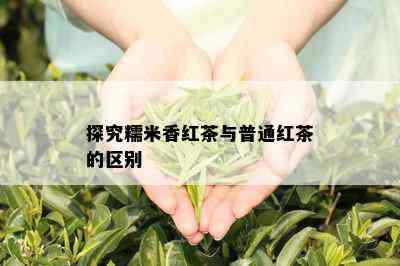 探究糯米香红茶与普通红茶的区别