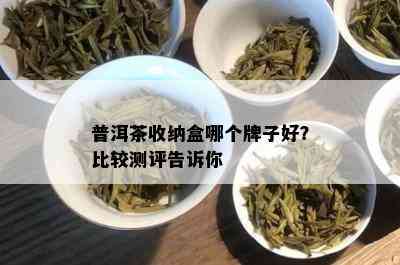 普洱茶收纳盒哪个牌子好？比较测评告诉你