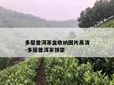 多层普洱茶盒收纳图片高清-多层普洱茶饼架