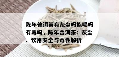 陈年普洱茶有灰尘吗能喝吗有吗，陈年普洱茶：灰尘、饮用安全与性解析