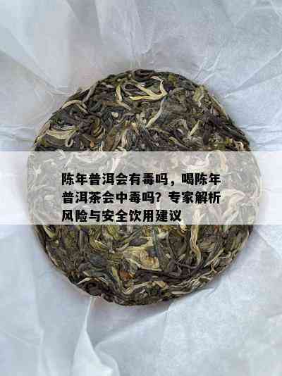 陈年普洱会有吗，喝陈年普洱茶会中吗？专家解析风险与安全饮用建议