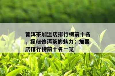 普洱茶加盟店排行榜前十名，探秘普洱茶的魅力：加盟店排行榜前十名一览