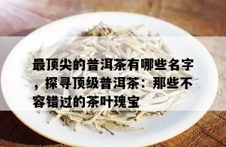 最顶尖的普洱茶有哪些名字，探寻顶级普洱茶：那些不容错过的茶叶瑰宝