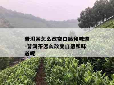 普洱茶怎么改变口感和味道-普洱茶怎么改变口感和味道呢