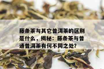 藤条茶与其它普洱茶的区别是什么，揭秘：藤条茶与普通普洱茶有何不同之处？