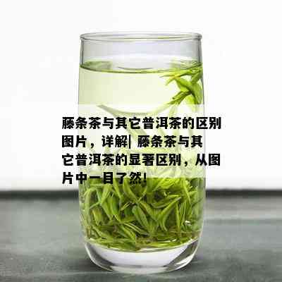 藤条茶与其它普洱茶的区别图片，详解| 藤条茶与其它普洱茶的显著区别，从图片中一目了然！