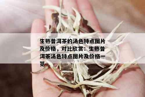 生熟普洱茶的汤色特点图片及价格，对比欣赏：生熟普洱茶汤色特点图片及价格一览