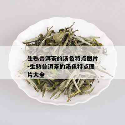 生熟普洱茶的汤色特点图片-生熟普洱茶的汤色特点图片大全