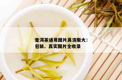 普洱茶通用图片高清版大：包装、真实图片全收录