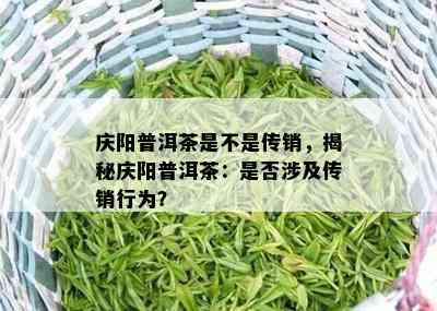 庆阳普洱茶是不是传销，揭秘庆阳普洱茶：是否涉及传销行为？