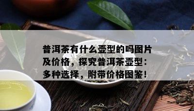 普洱茶有什么壶型的吗图片及价格，探究普洱茶壶型：多种选择，附带价格图鉴！