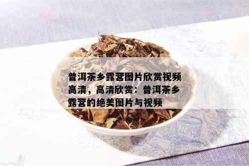 普洱茶乡露营图片欣赏视频高清，高清欣赏：普洱茶乡露营的绝美图片与视频