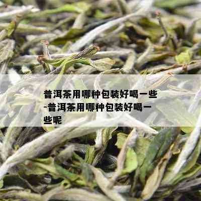 普洱茶用哪种包装好喝一些-普洱茶用哪种包装好喝一些呢