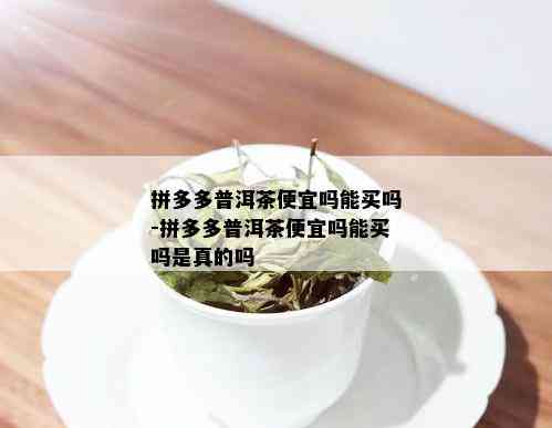 拼多多普洱茶便宜吗能买吗-拼多多普洱茶便宜吗能买吗是真的吗