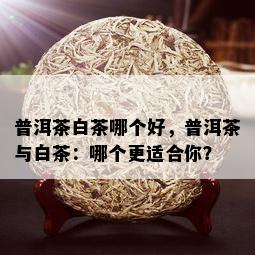 普洱茶白茶哪个好，普洱茶与白茶：哪个更适合你？