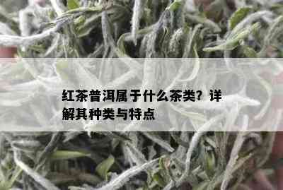 红茶普洱属于什么茶类？详解其种类与特点