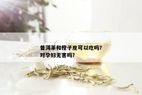 普洱茶和橙子皮可以吃吗？对孕妇无害吗？