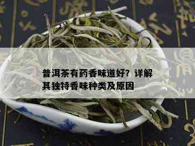 普洱茶有药香味道好？详解其独特香味种类及原因