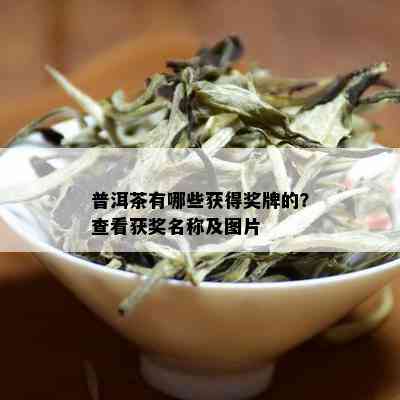 普洱茶有哪些获得奖牌的？查看获奖名称及图片