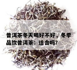 普洱茶冬天喝好不好，冬季品饮普洱茶：适合吗？