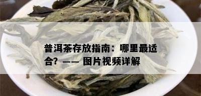 普洱茶存放指南：哪里最适合？—— 图片视频详解