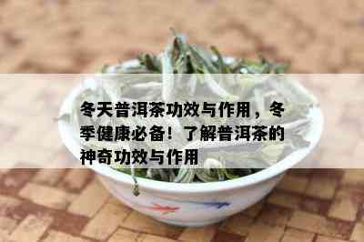 冬天普洱茶功效与作用，冬季健康必备！了解普洱茶的神奇功效与作用