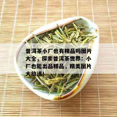 普洱茶小厂也有精品吗图片大全，探索普洱茶世界：小厂也能出品精品，精美图片大放送！